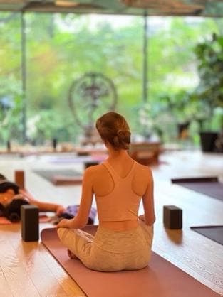 Abhaya Yoga Dumbo photo 6