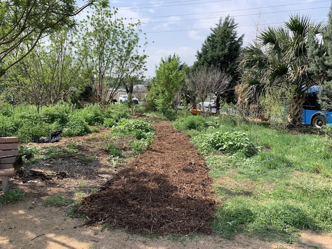 Festival Beach Food Forest photo 4