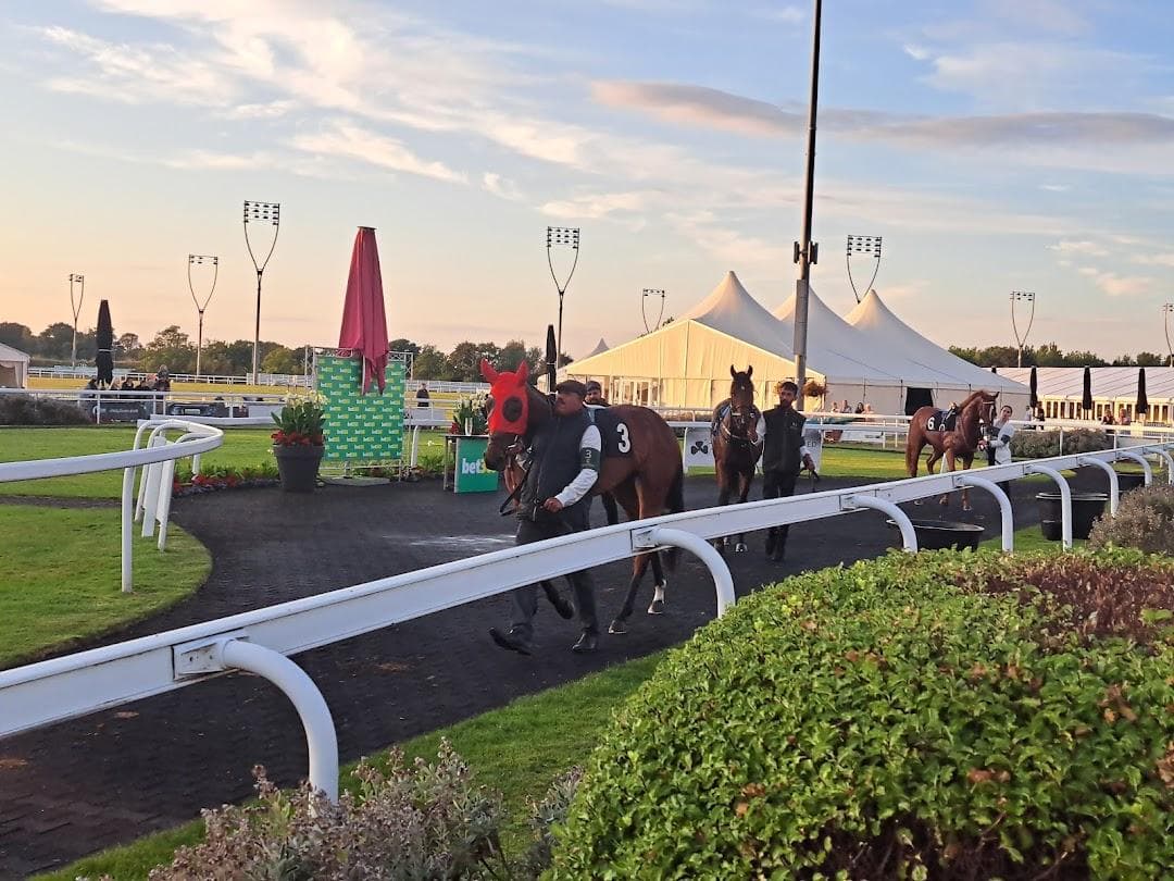Chelmsford City Racecourse photo 6