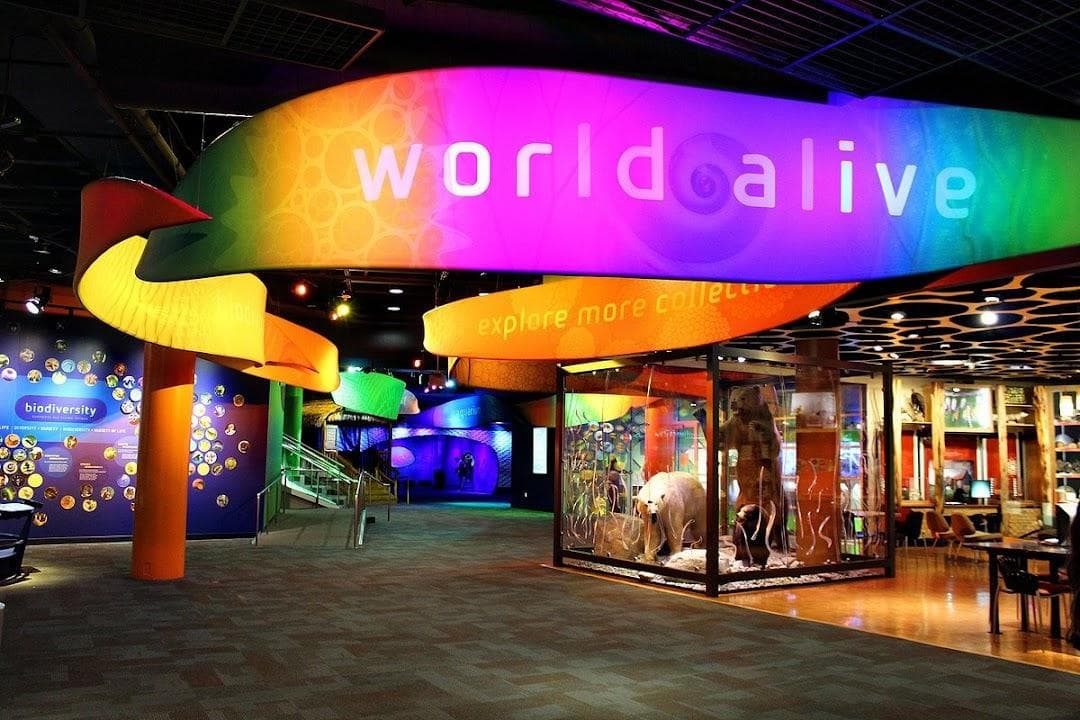Discovery Place Science photo 1