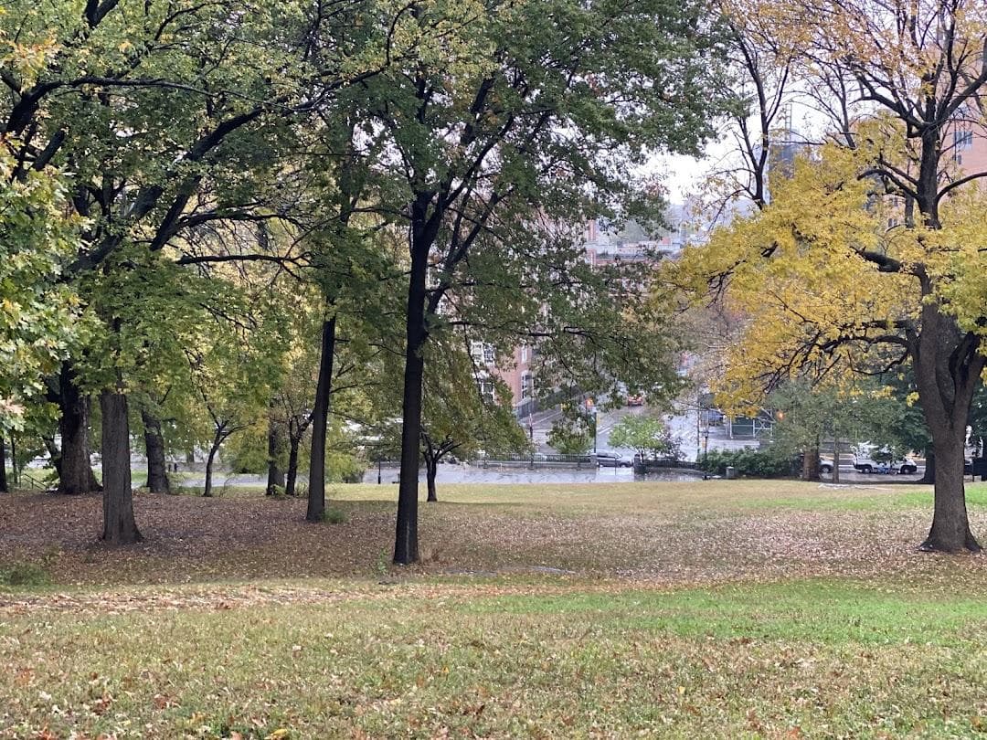 St. Nicholas Park photo 2