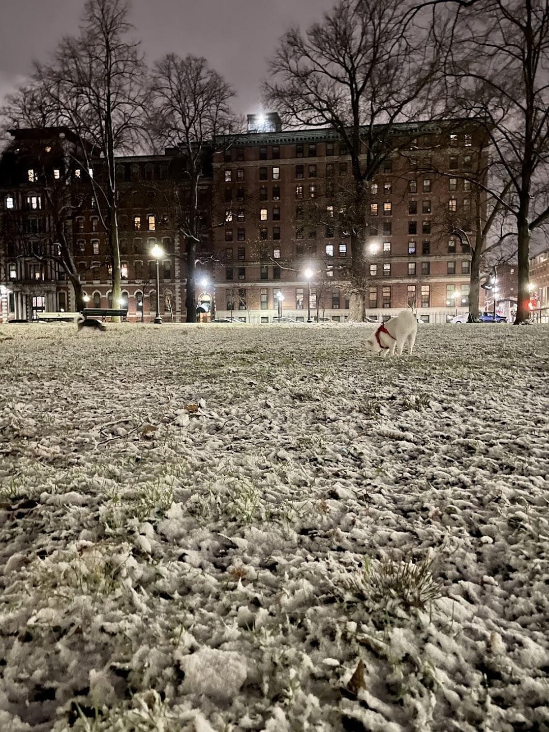Franklin Square photo 1