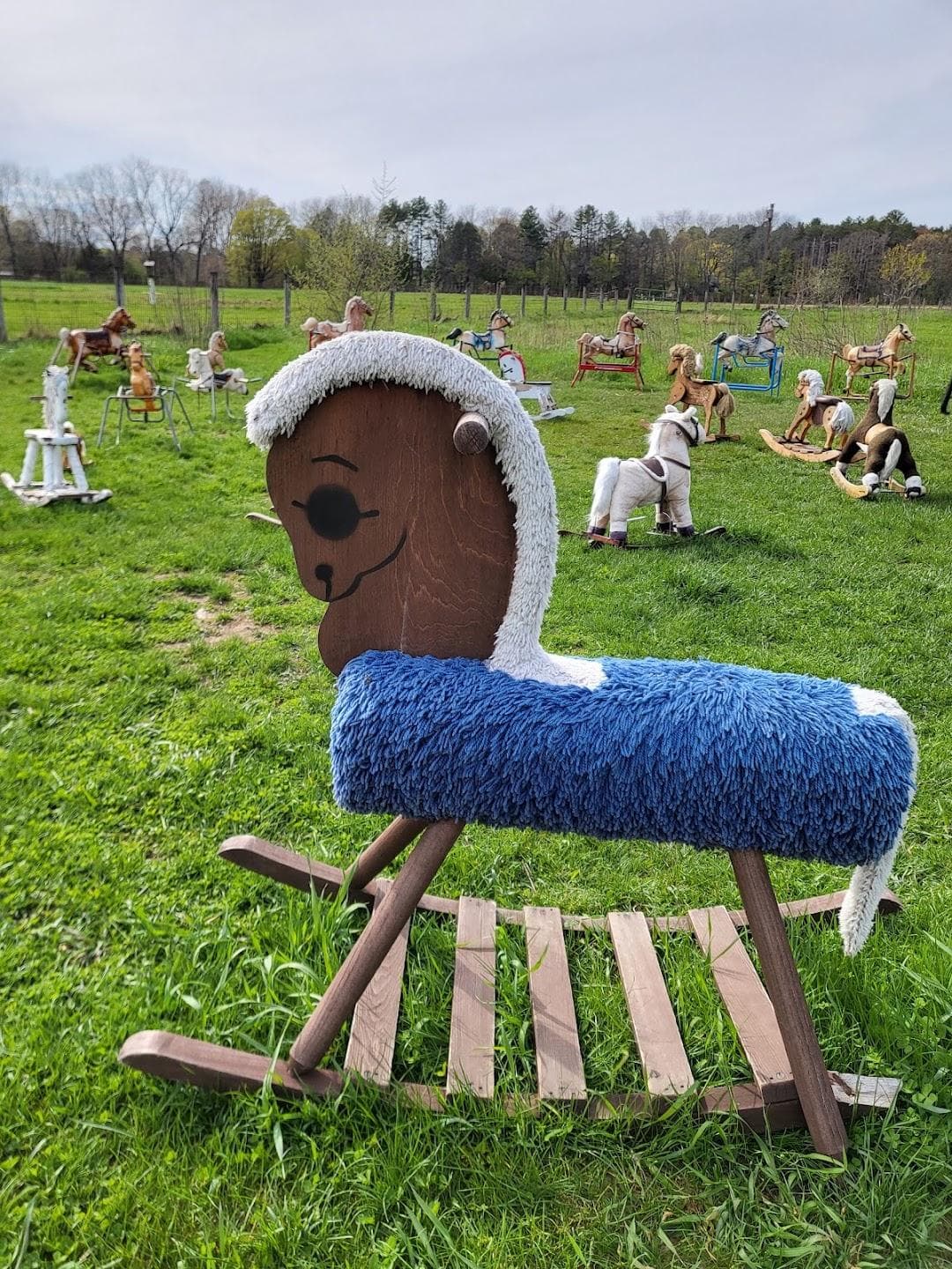 Ponyhenge photo 4
