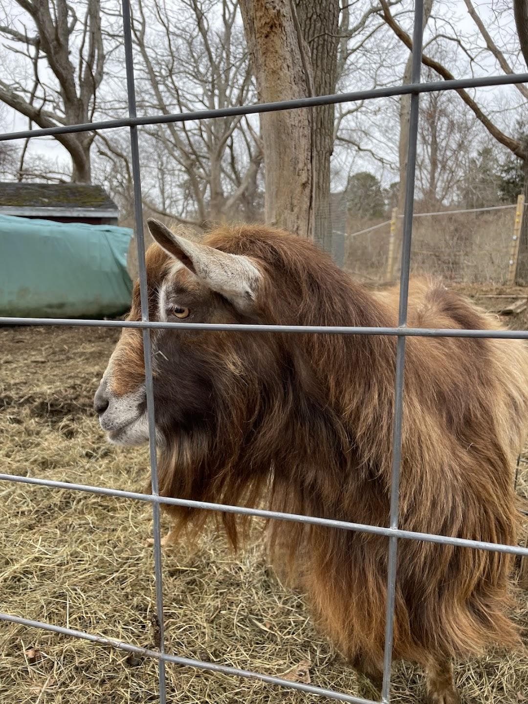 Long Pasture Wildlife Sanctuary photo 2