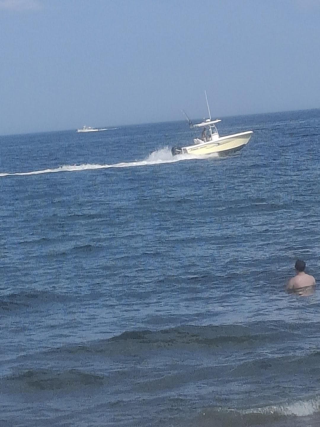 Plum Island Beach photo 4
