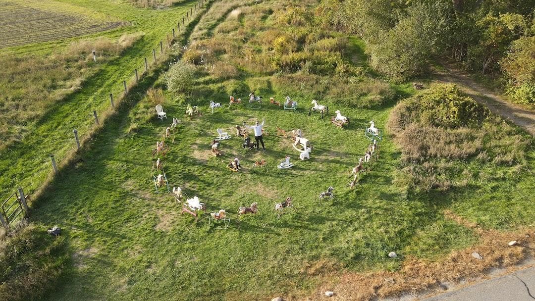 Ponyhenge photo 5
