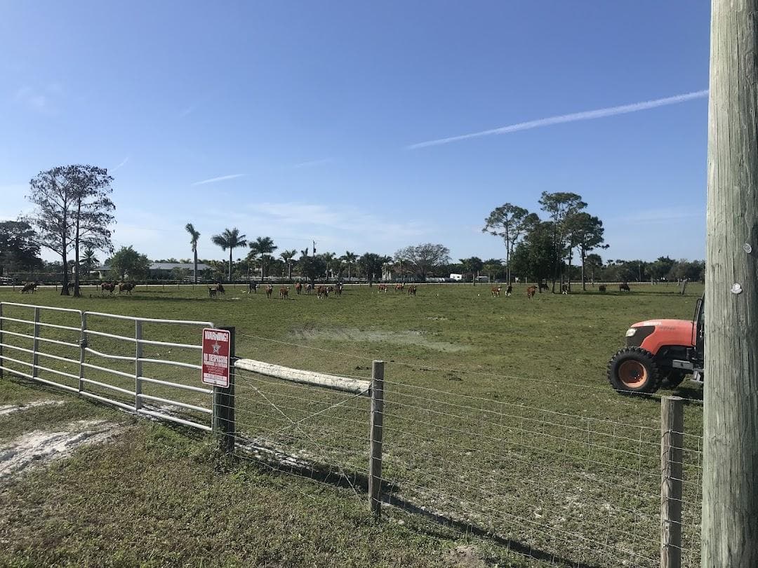 Wellington Equestrian Center photo 1