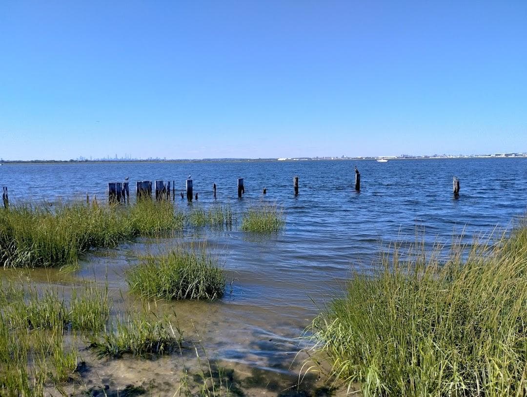 Dubos Point Wildlife Sanctuary photo 6