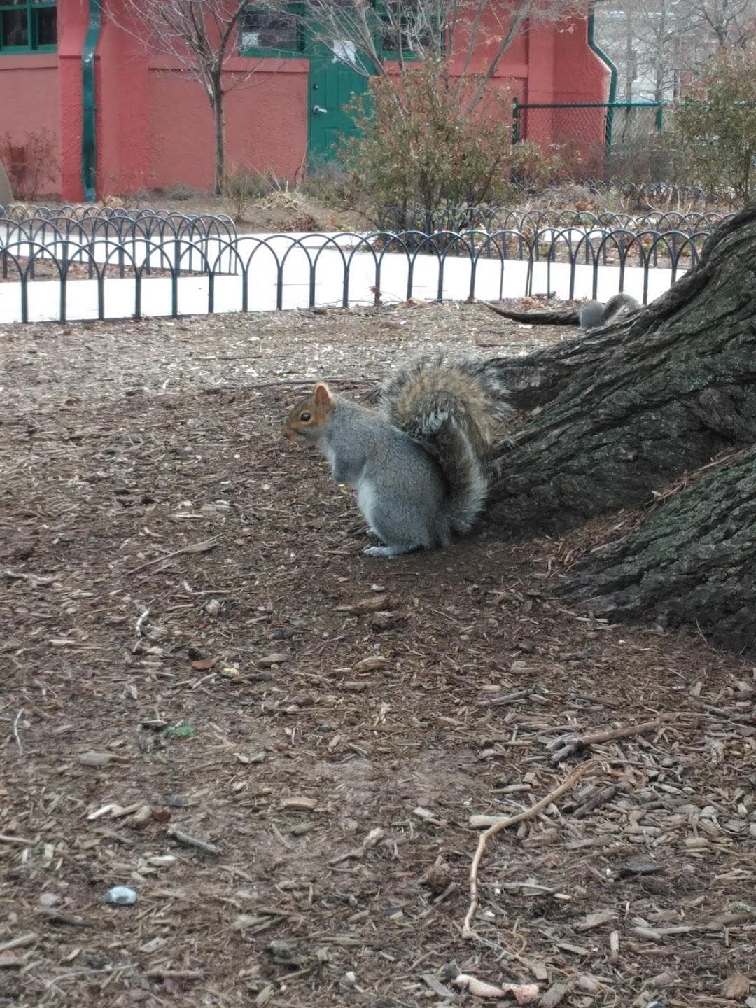 Riverbank Park photo 3