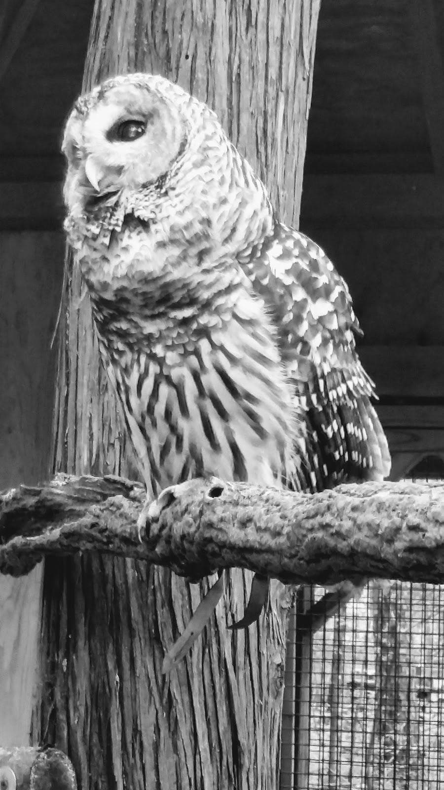 Woodford Cedar Run Wildlife Refuge photo 1