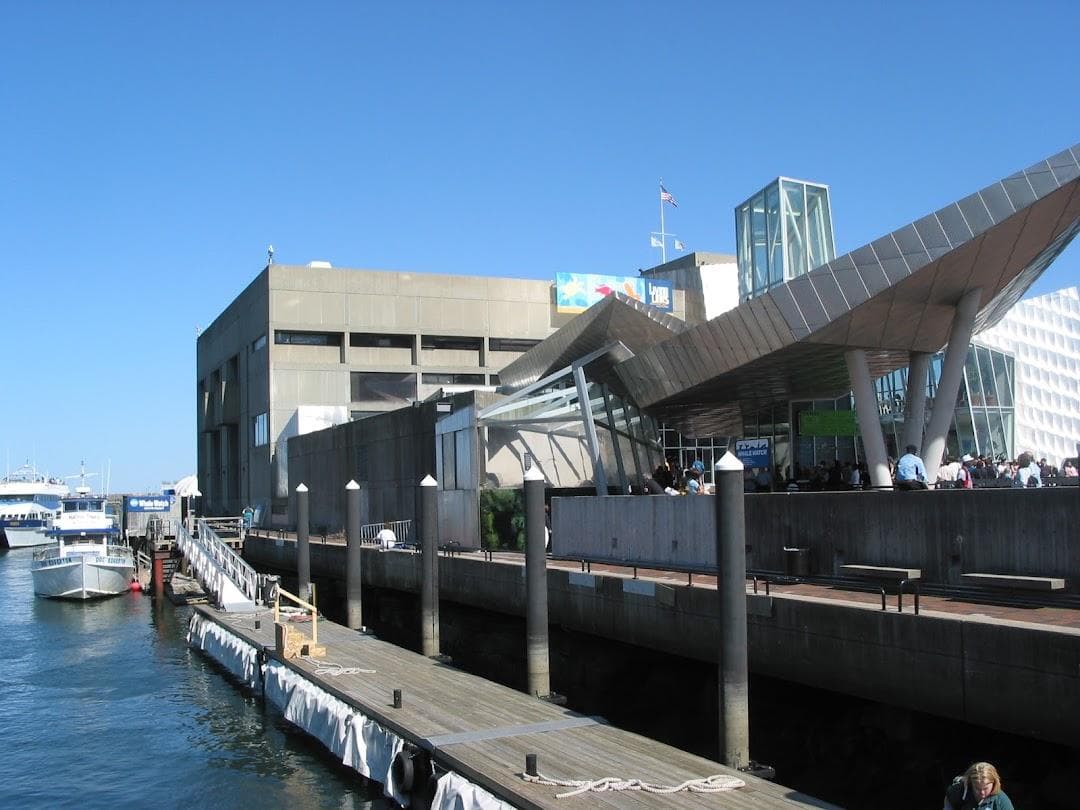 Simons Theatre photo 4