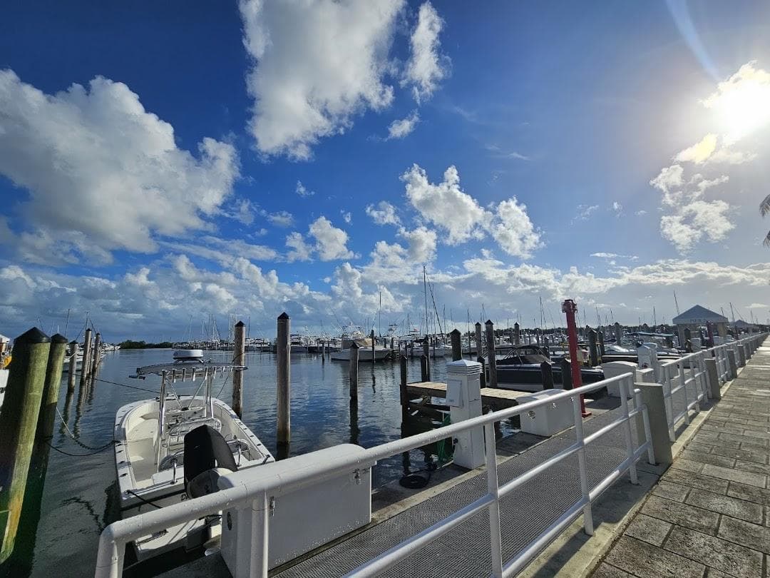 Dinner Key Marina photo 6