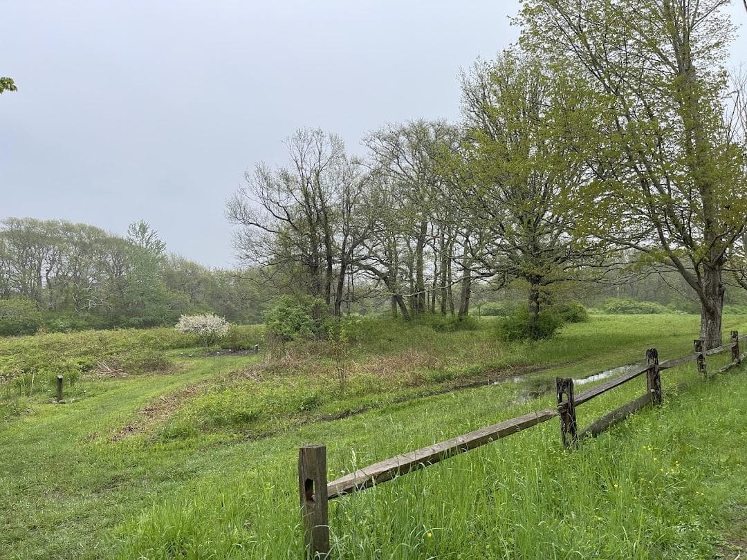 Long Pasture Wildlife Sanctuary photo 4