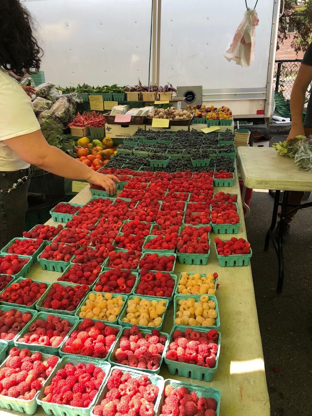 Brookline Farmers' Market photo 5