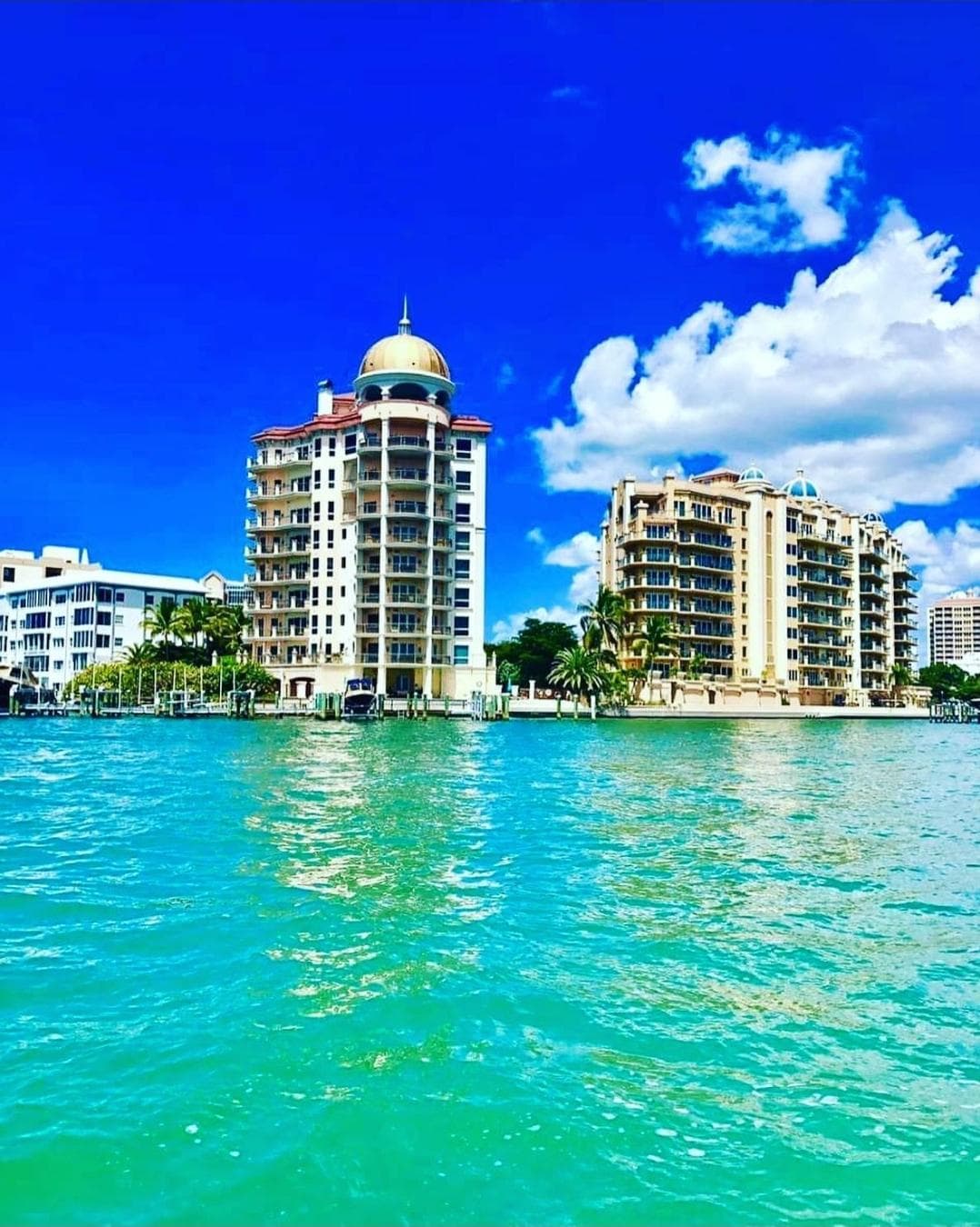 South Florida photo 6
