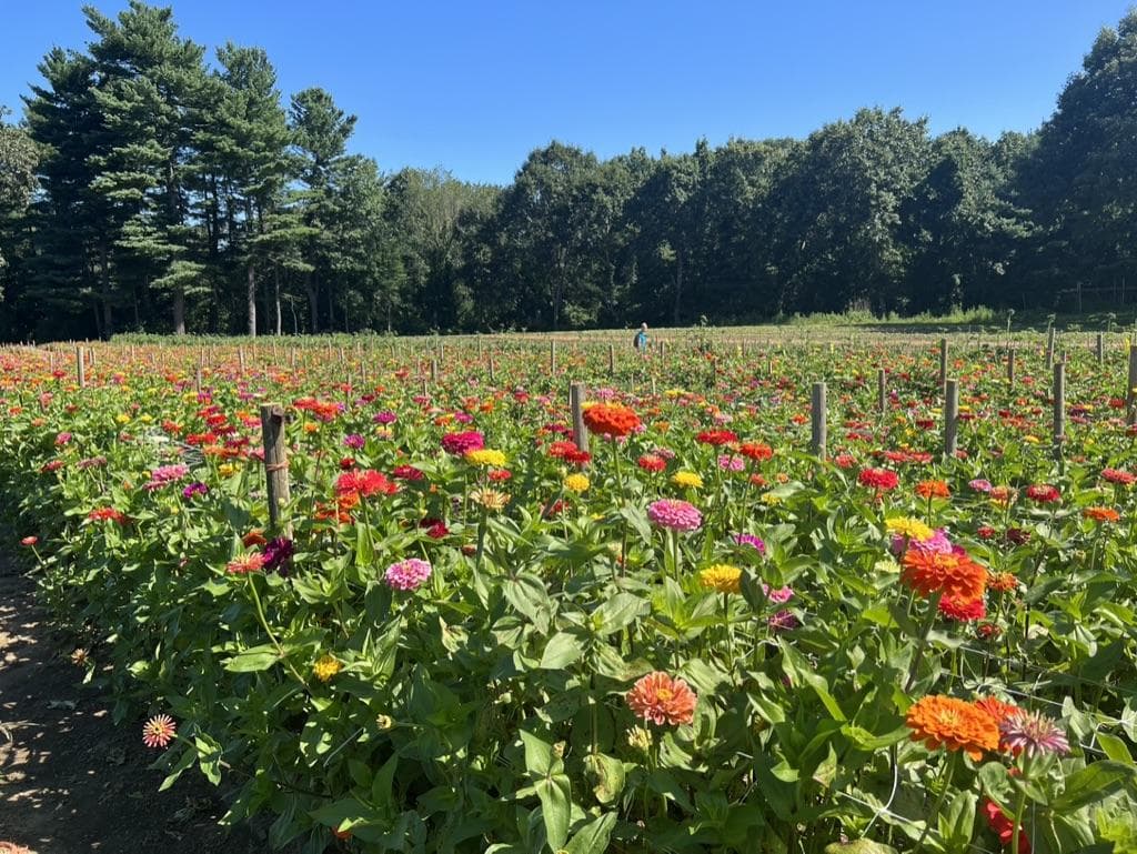 Parlee Farms photo 5