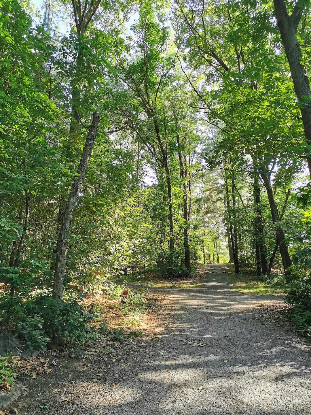 Chestnut Hill Reservation photo 3