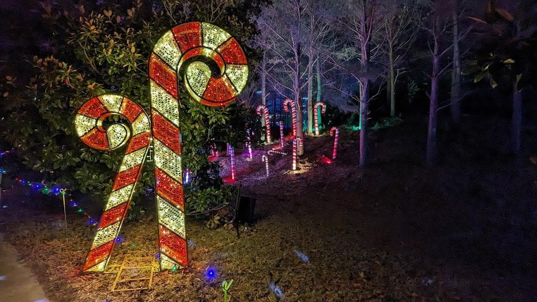 Ballantyne's Backyard photo 6