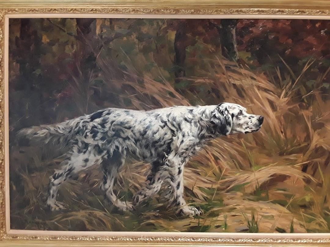 AKC Museum of the Dog photo 2