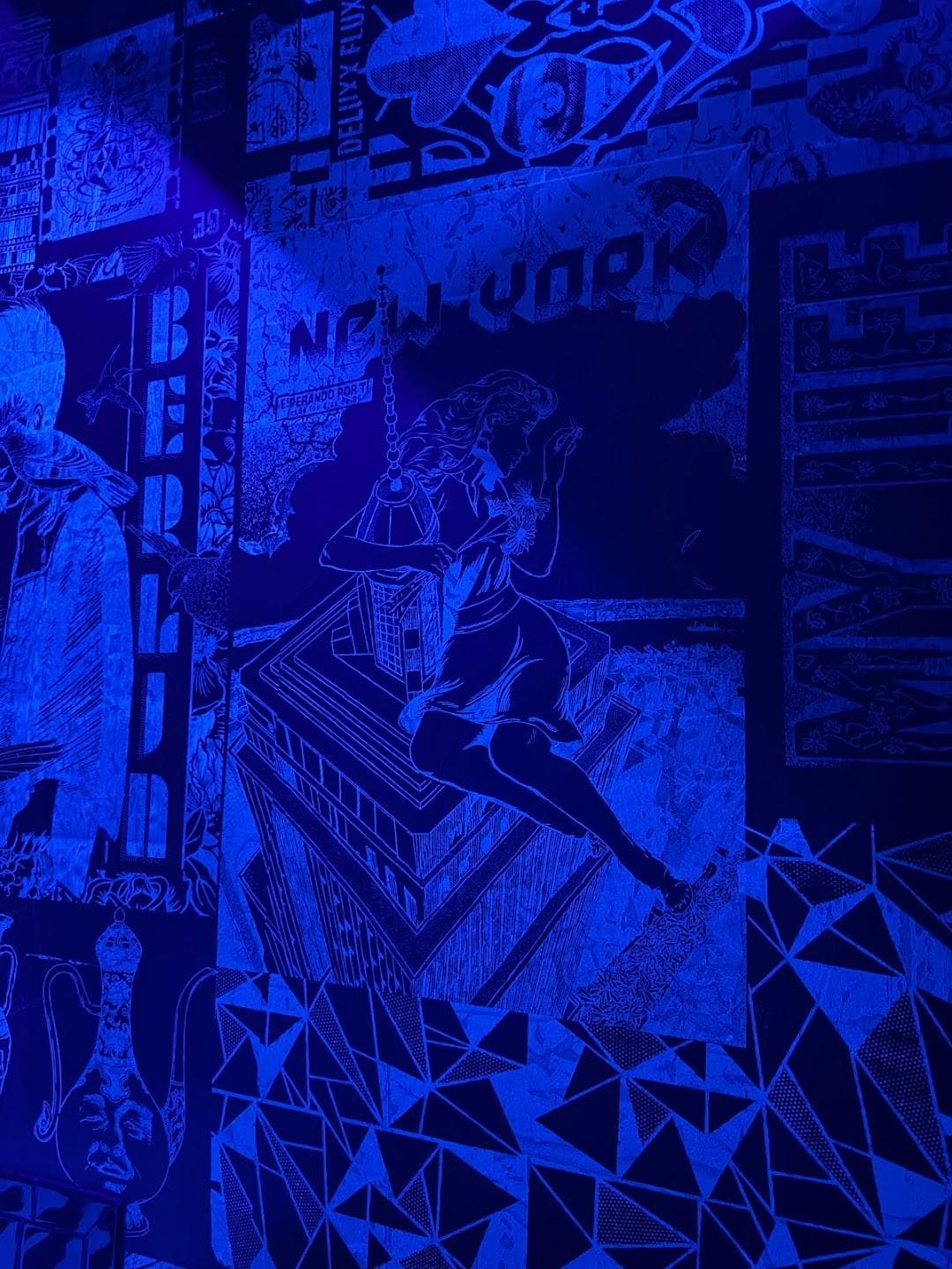 Deluxx Fluxx photo 5