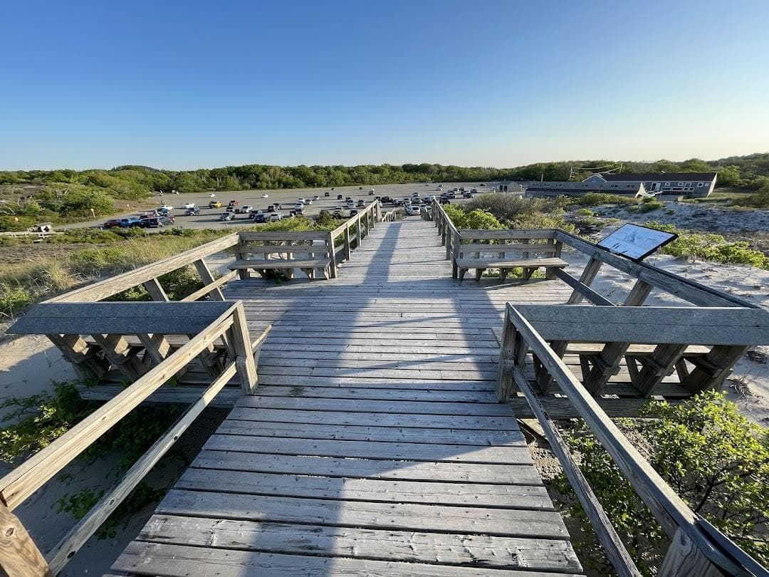 Crane Beach photo 6