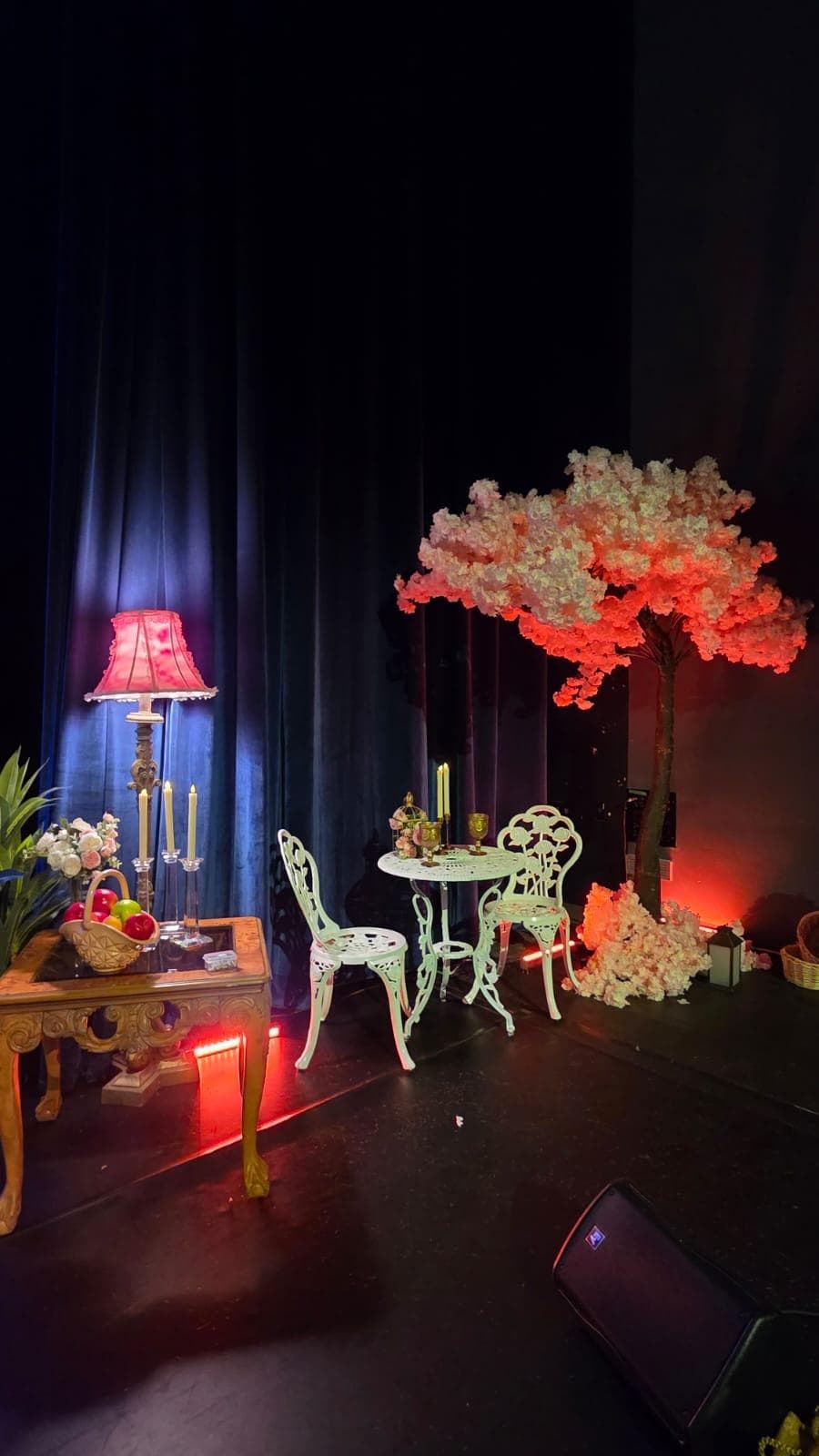 Alan & Diane Lieberman Theater photo 5