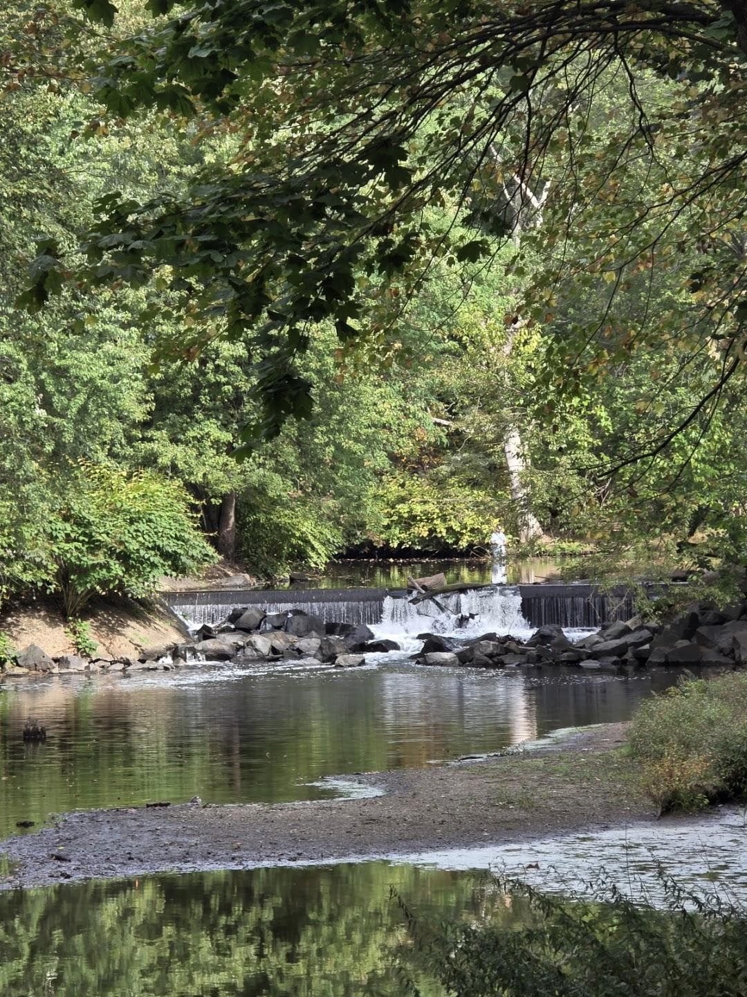 Saddle River County Park photo 2
