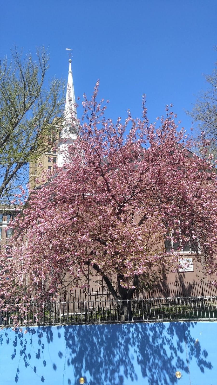 Trinity & St. Philip's Cathedral photo 2