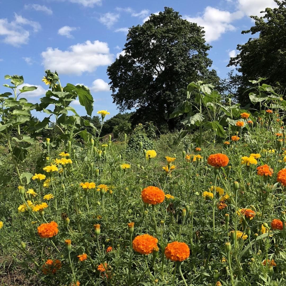 Land's Sake Farm photo 1
