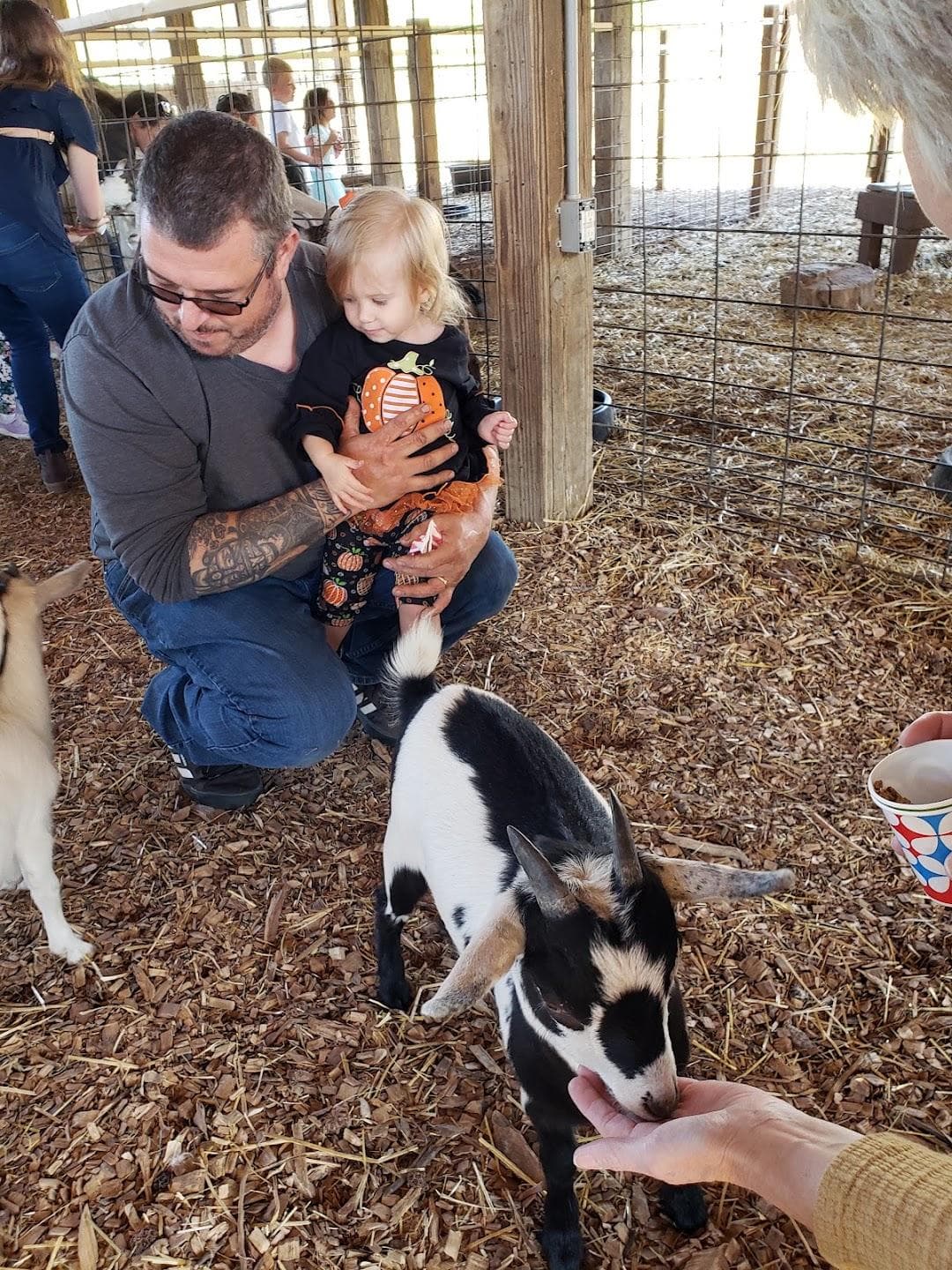 Hunter Farm photo 5