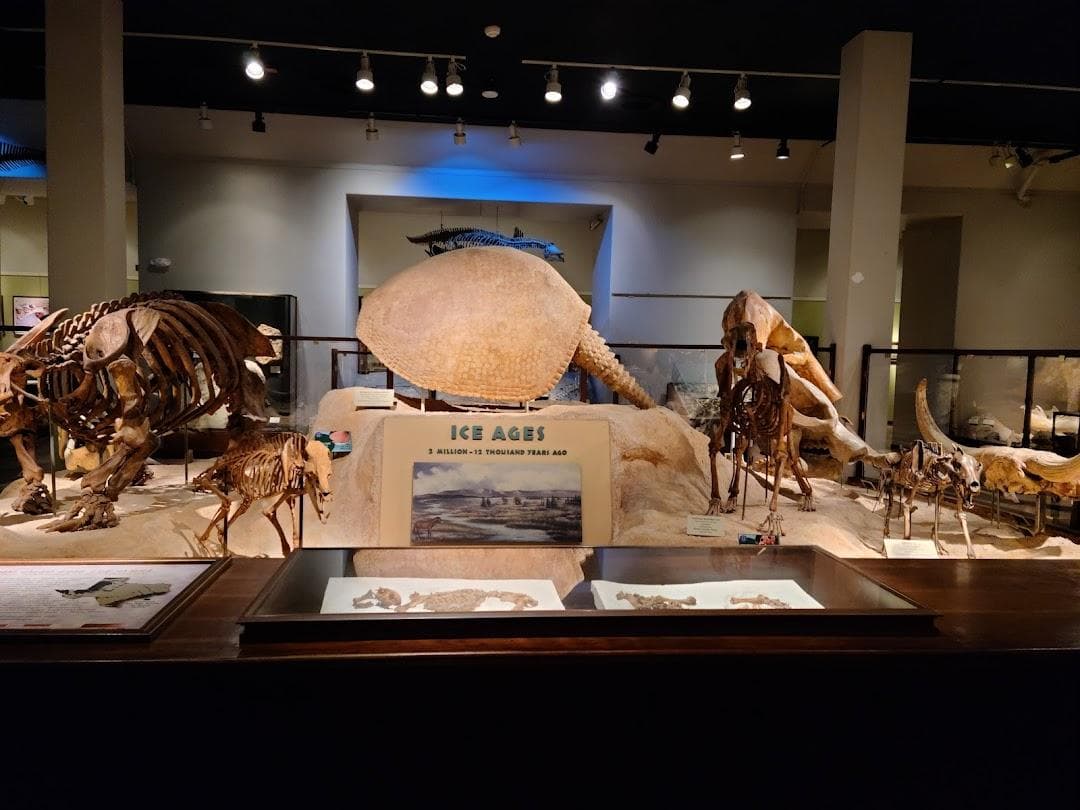 Texas Science & Natural History Museum photo 6
