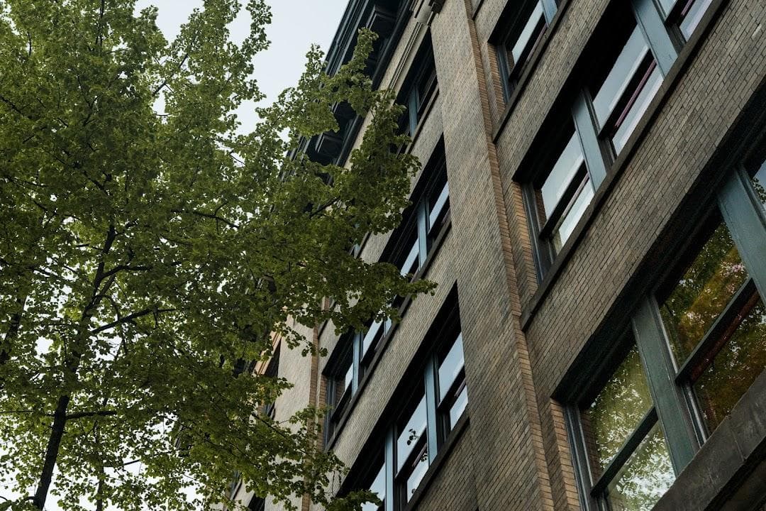 Populus Seattle photo 3