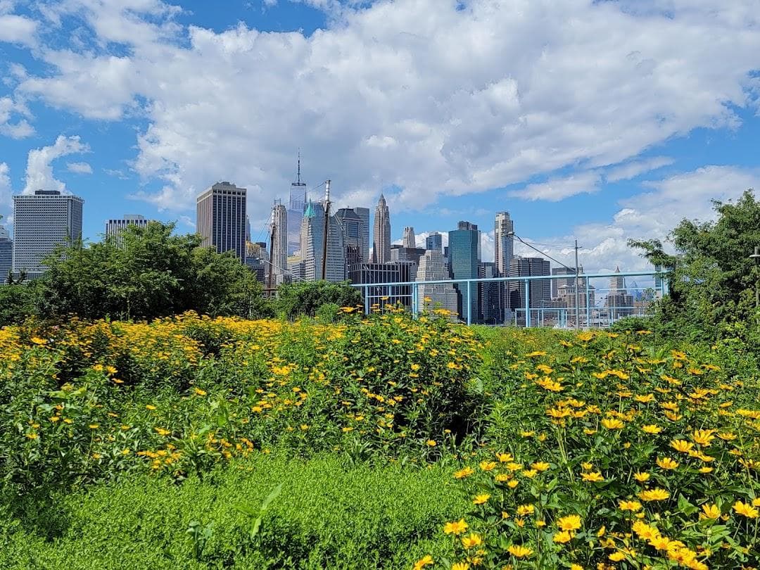 Brooklyn Bridge Park Pier 6 Liberty Lawn photo 2