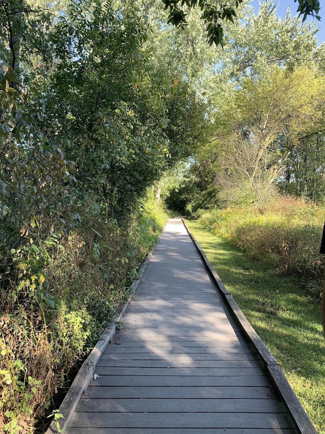 Mass Audubon's Boston Nature Center and Wildlife Sanctuary photo 6