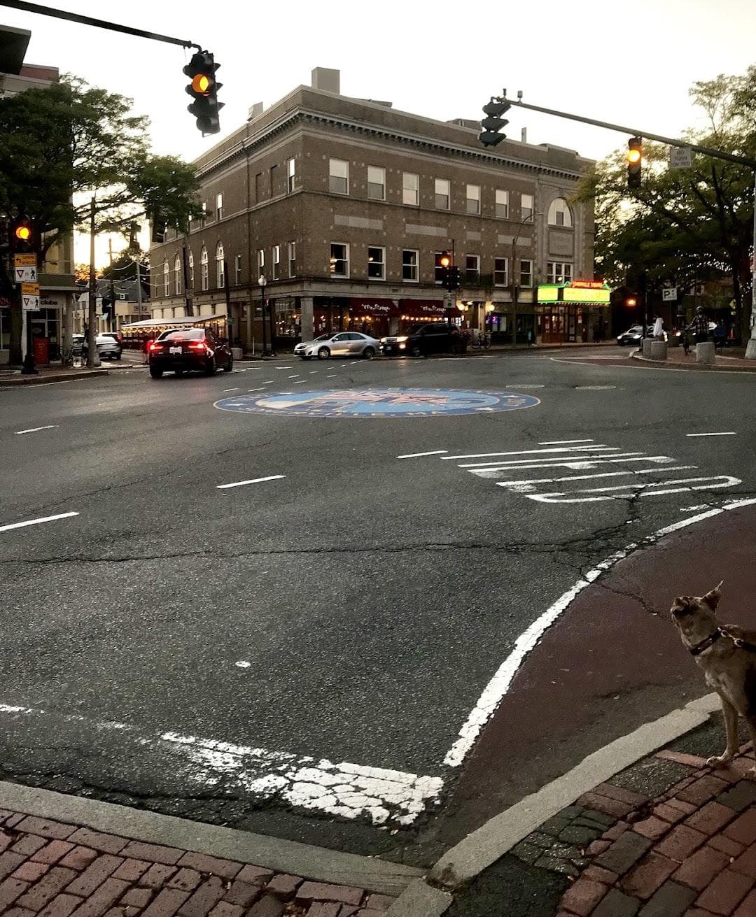 Davis Square photo 3