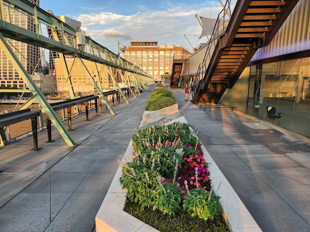 Pier 57 Rooftop Park photo 2
