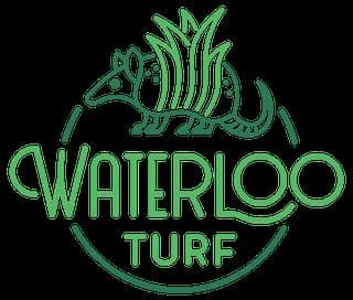 Waterloo Turf Charlotte Artificial Grass photo 1