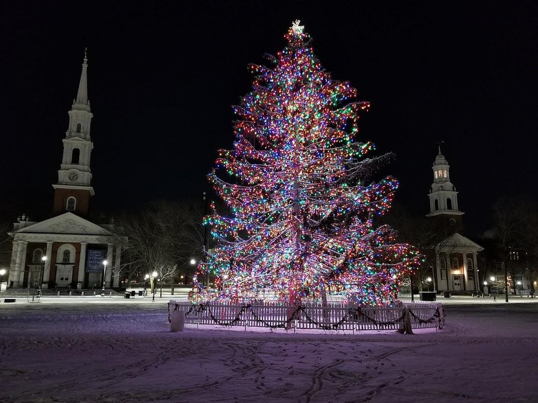 New Haven Green photo 1