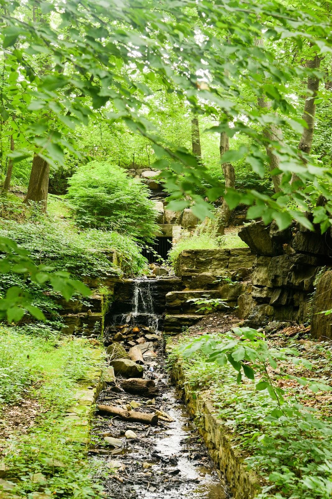 Seton Falls Park photo 5
