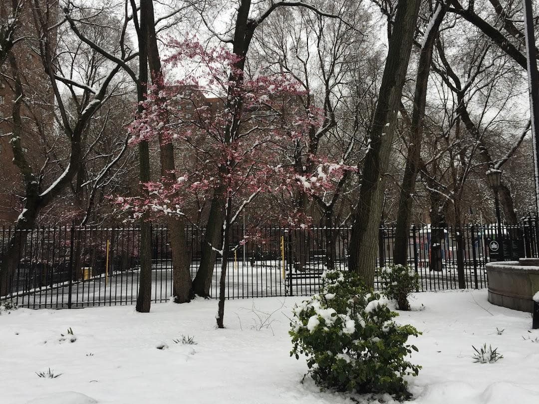 Seward Park photo 5