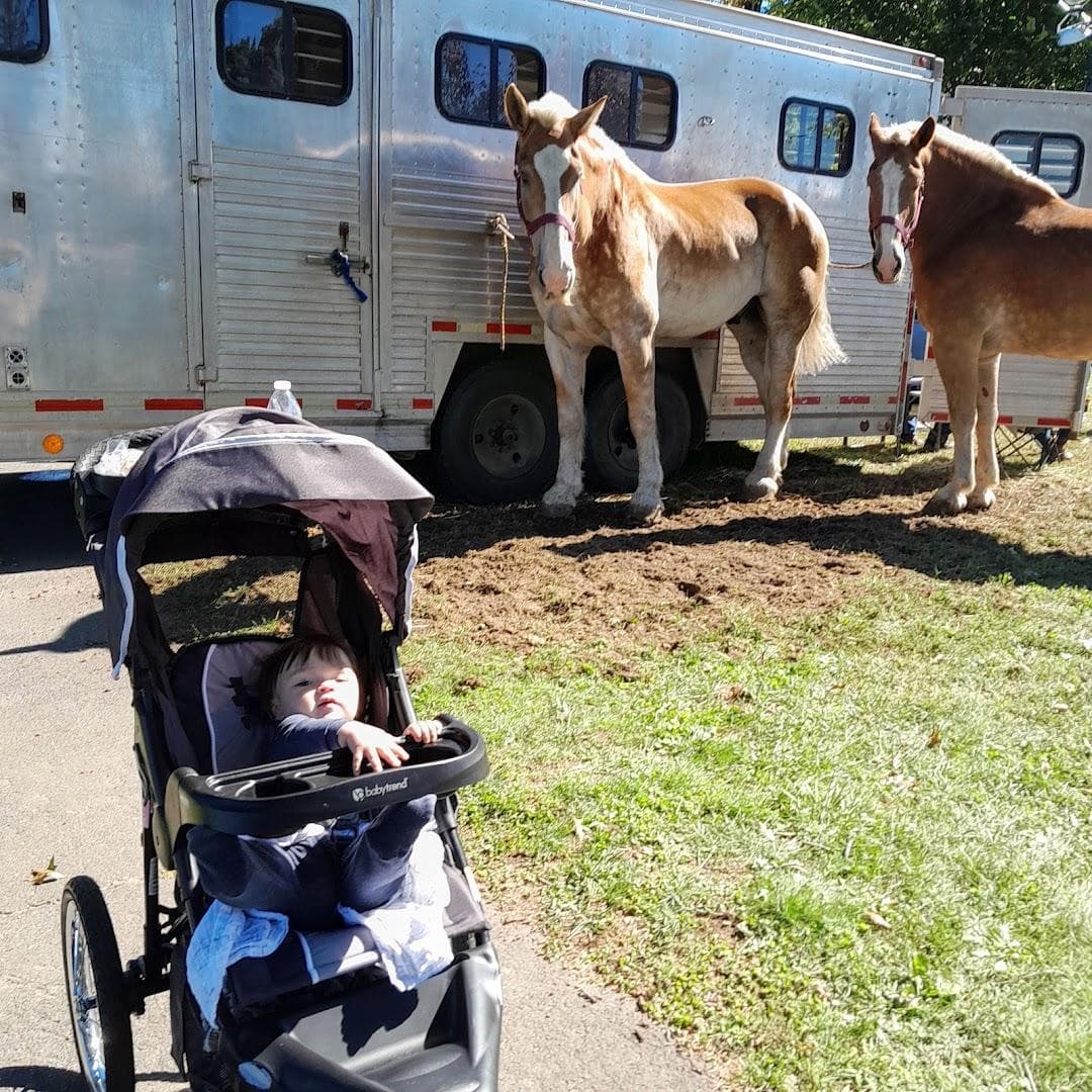Belchertown Fair photo 1