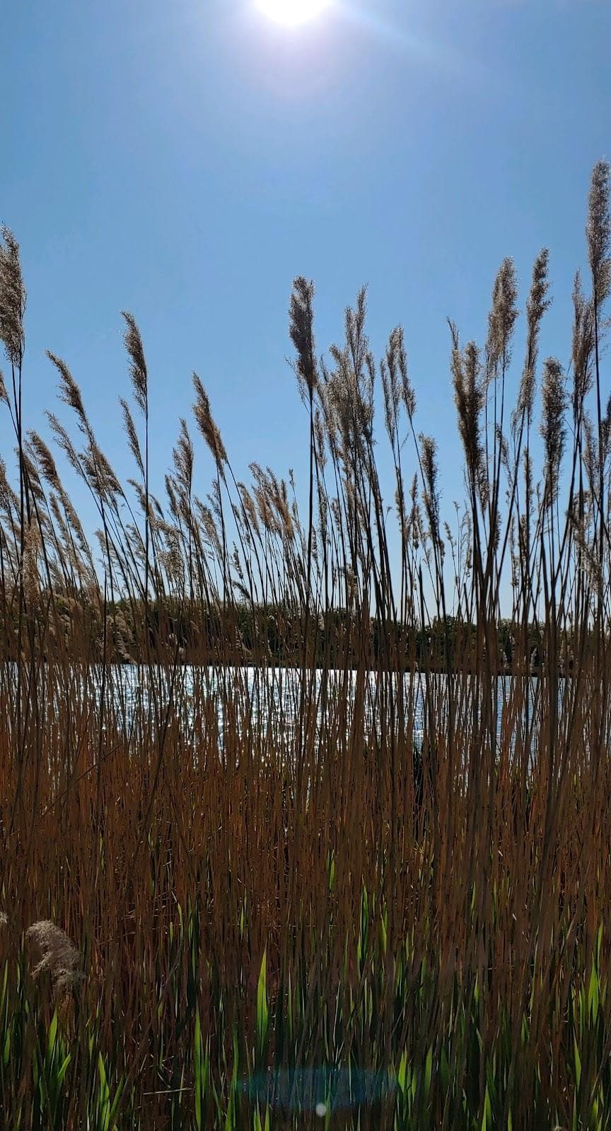 Meadow Lake Drive photo 1