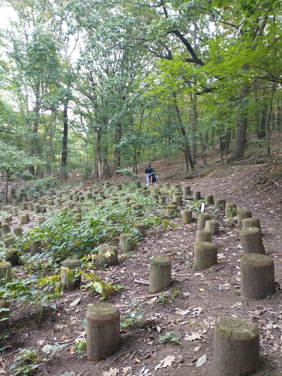 Jones Woods Park photo 6