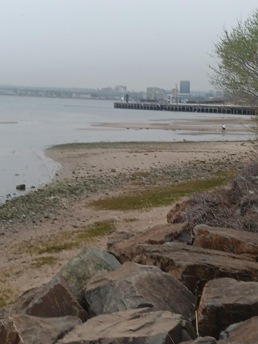 East Shore Park photo 5