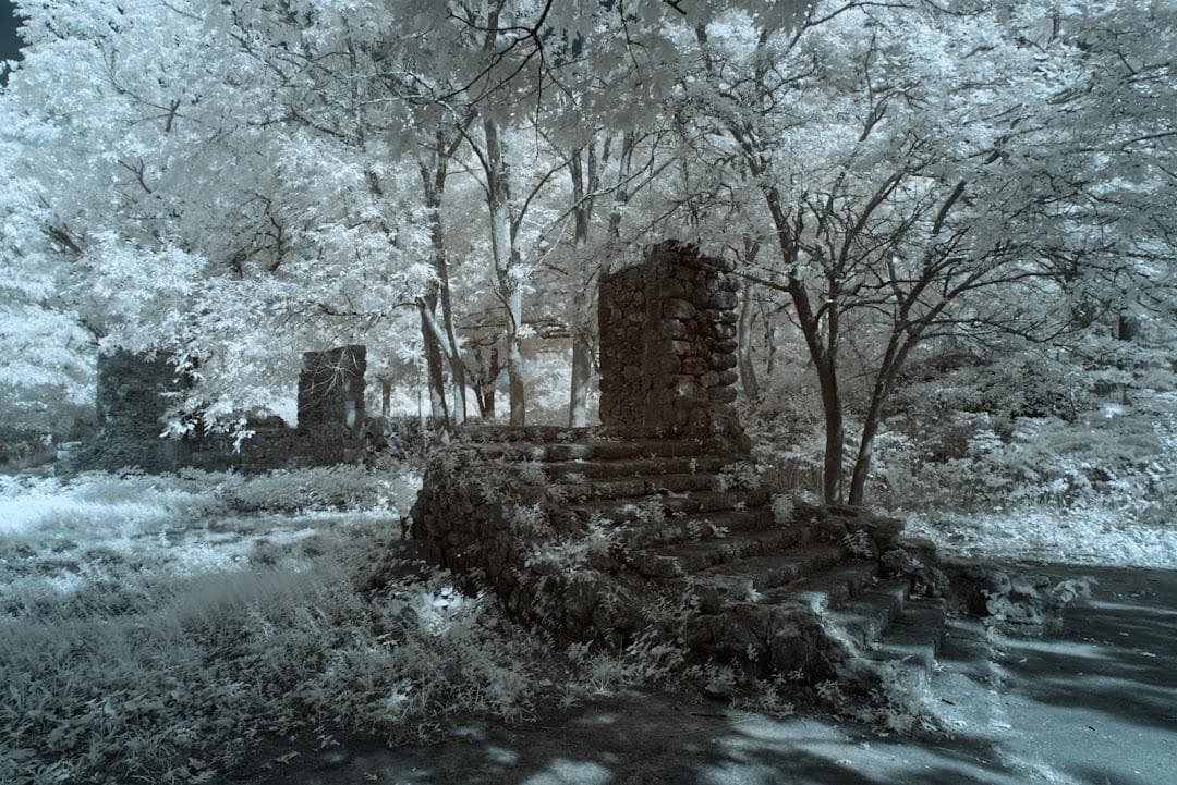 Franklin Park - Overlook Ruins photo 3
