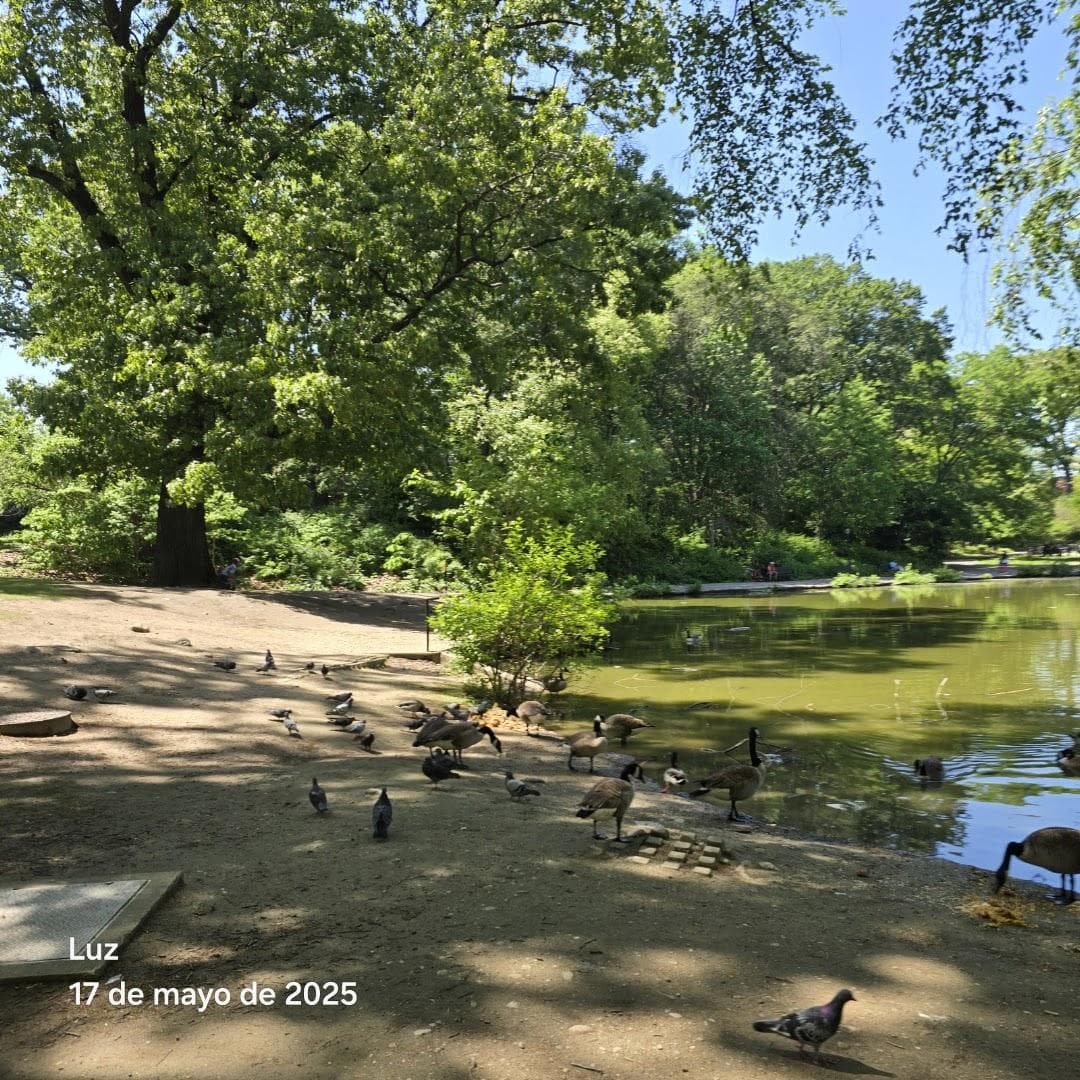 Captain Tilly Park photo 4