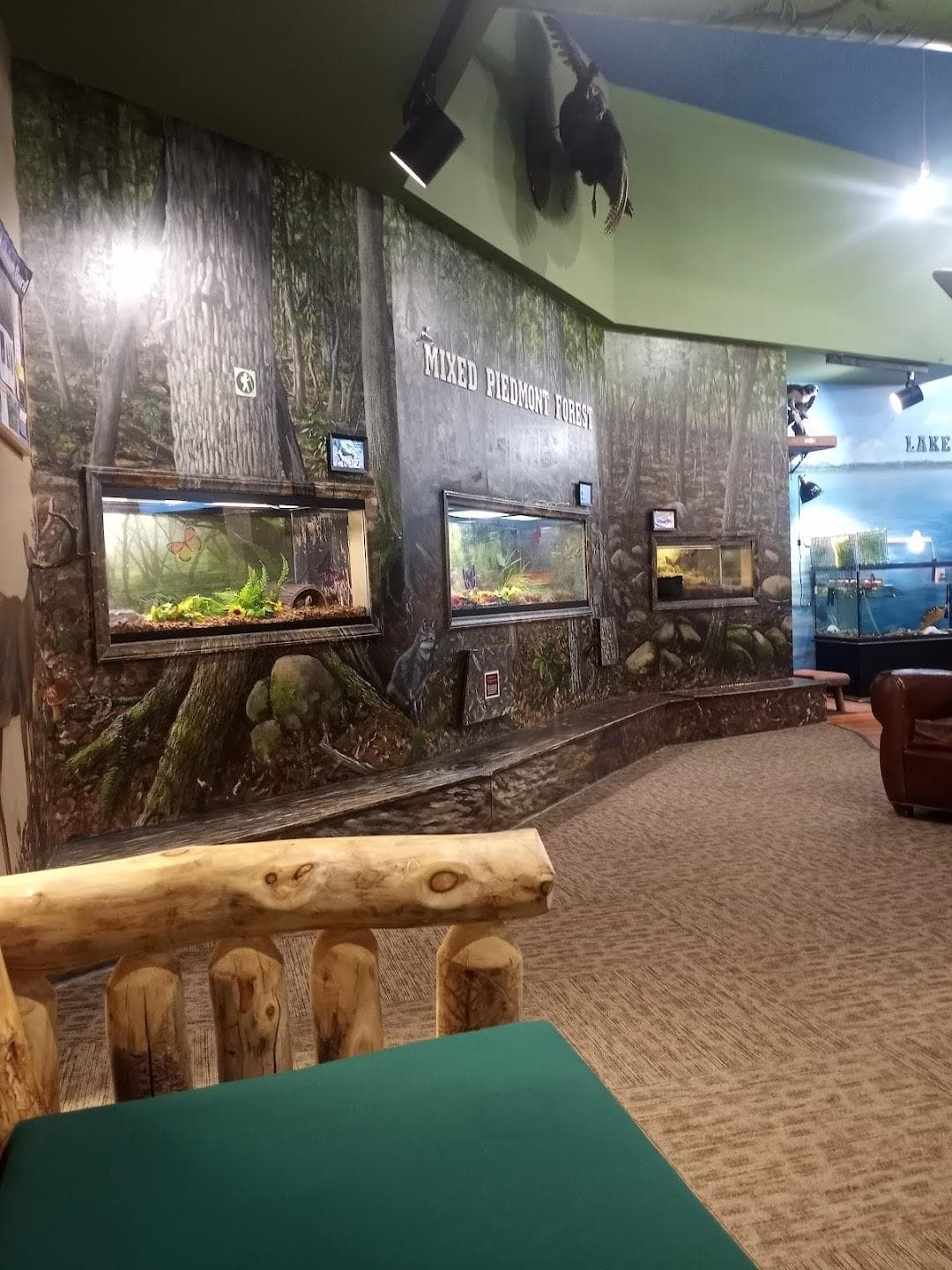 McDowell Nature Center photo 2