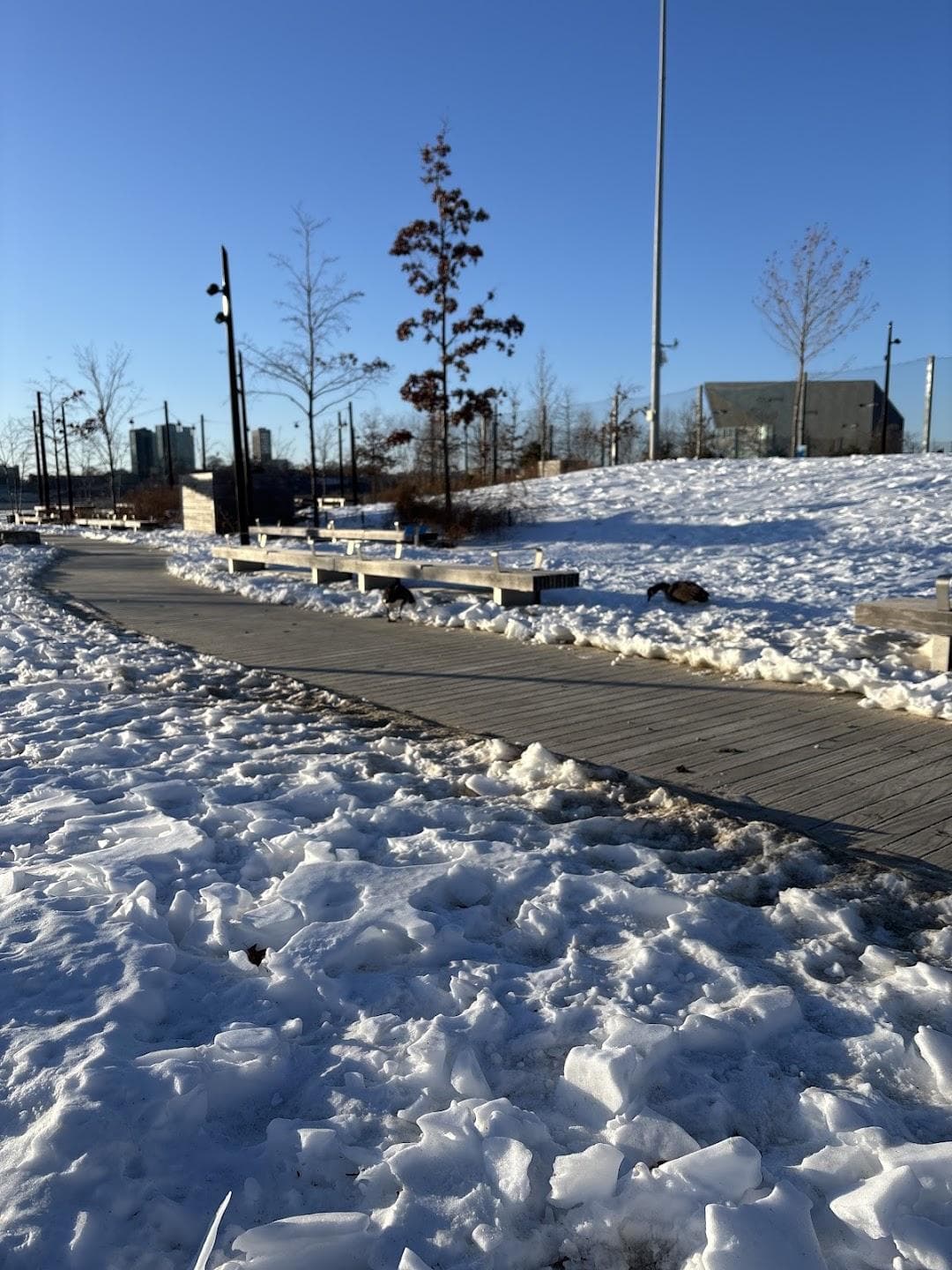 Gansevoort Beach photo 1