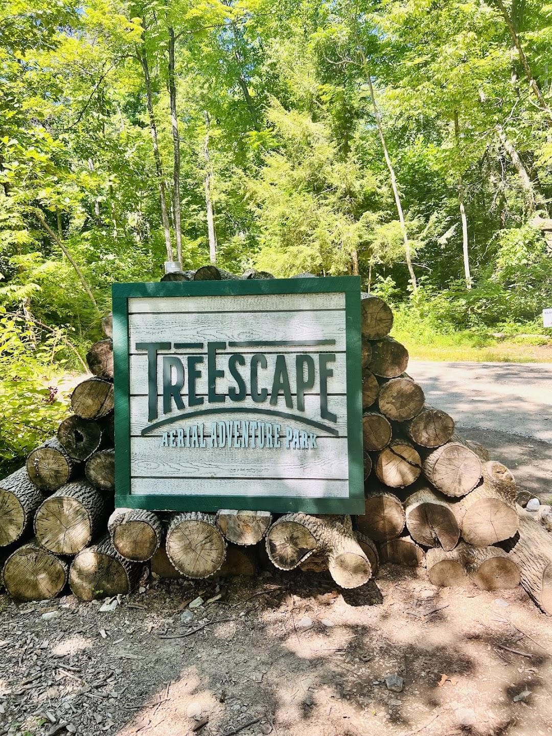 Treescape Aerial Adventure Park photo 6