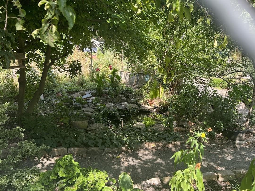 Greene Acres photo 4